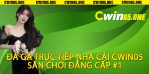 Đá Gà Trực Tiếp